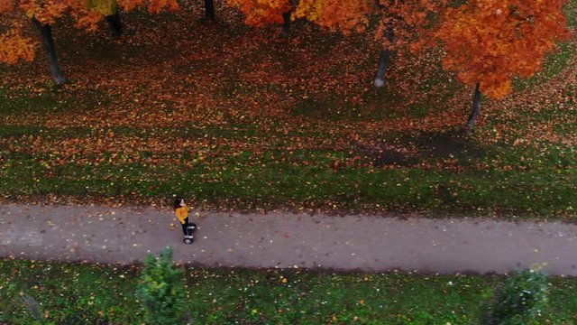 Girl ride electric self-balancing scooter along park path, top-down trucking shot. Autumn season, old green grass and red maple foliage. Dim natural light at evening time