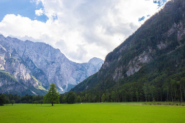Summer View of The Logar Valley in Kamnik Mountains, Slovenia