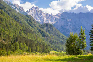 Summer View of The Logar Valley in Kamnik Mountains, Slovenia © Tomtsya