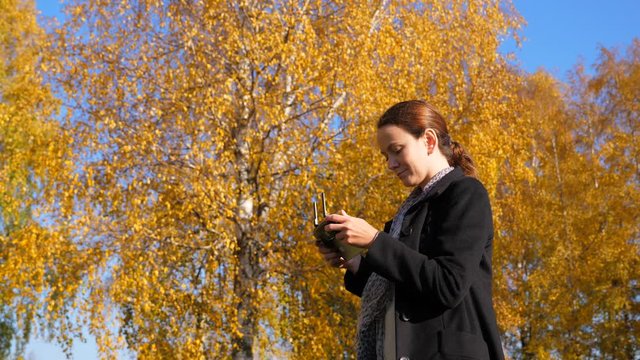 Woman stay and stare to remote controller of copter, piloting small aircraft at autumn park. Half length shot of lady against yellow foliage of birch trees. Lady fully concentrated on flying device