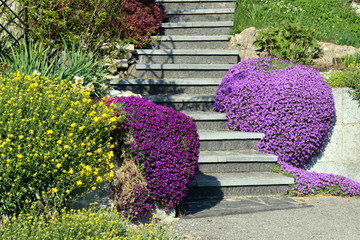 Steingarten mit Treppe mit Frühlingsbepflanzung