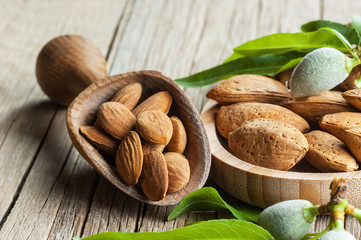 Almond nuts in wooden shovel, almonds with shell in bamboo bowl on wooden background with green fresh raw almonds on almond tree branch.