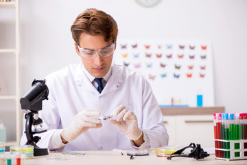 Scientist entomologist studying new butterfly species