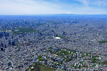 東京大学から富士山を望む／都市風景