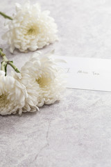 White chrysanthemums and CARDS