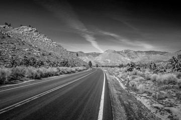 Scenic route through the desert at Sequoia in California - travel photography
