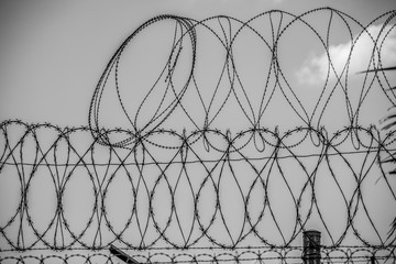 Barbwire fence at the Mexican Border - travel photography