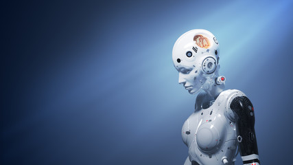 robot woman, sci-fi woman  digital world of the future of neural networks and the artificial intelligence 3d render