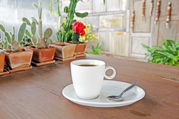 Coffee in garden with beautiful cactus in earthenware pottery on the wooden table. Selective focus, blurred background.