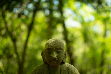 Buddha and Green