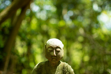 Buddha and Green