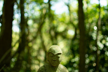 Buddha and Green