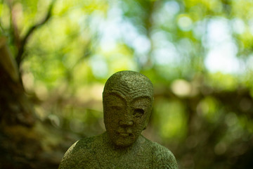 Buddha and Green
