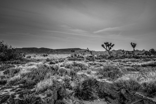 The desert of Nevada in the evening - travel photography