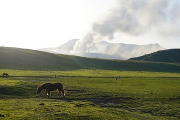 煙を吐く阿蘇火山の風景
