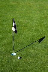 Obraz premium Golf ball on practice putting green next to hole and flag, sunny morning