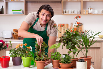 Young handsome man cultivating flowers at home