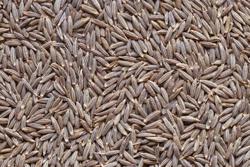 Whole Cumin or Jira spice closeup, selective focus.