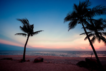 Silhouette of tropical beach during sunset twilight. seascape of summer beach and palm tree at sunset. vintage color tone