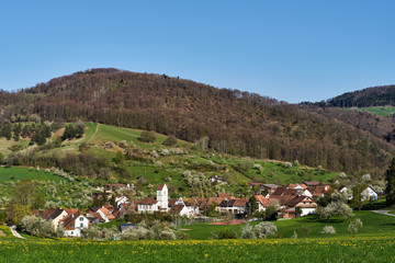 Fototapeta na wymiar Oltingen im Baselbiet