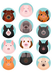 pig faces set