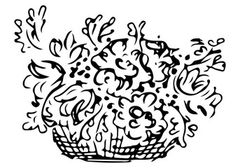Bouquet of peonies flowers in a wood basket. Vector doodle floral image. Line art. Sketch