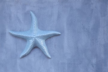 Fototapeta na wymiar Starfish. Decorative light blue starfish on a gray background. Home decor in nautical style.Summer season. 
