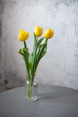 Yellow tulips spring decoration in a home. holiday concept background with copy space