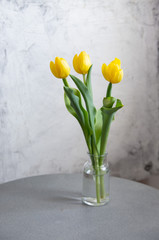 Yellow tulips spring decoration in a home. holiday concept background with copy space