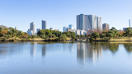Fototapeta premium 高層マンション