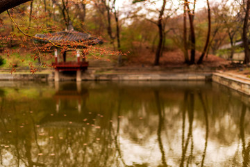 Fototapeta na wymiar pavilon in the garden, Seoul South Korea