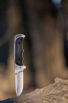 Folding pocket knife stuck in a wood log in the forest
