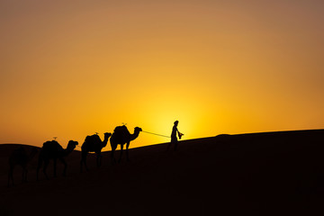 Fototapeta na wymiar Silhouette of a camel caravan at sunrise in desert Sahara, Morocco
