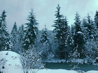 Winter landscape with winter river, surrounded by trees. Winter forest on the river. Landscape with snowy trees. Tranquil winter nature. Beauty world. Toned image.