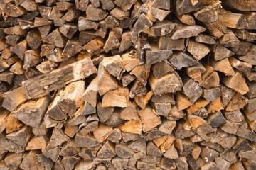Pile of woods