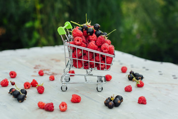 Mini shopping basket full of fresh red ripe raspberry and blackberry on vintage background