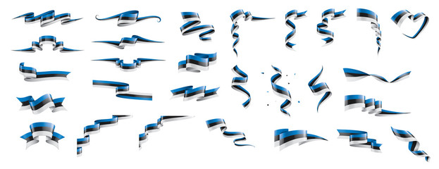 Estonia flag, vector illustration on a white background