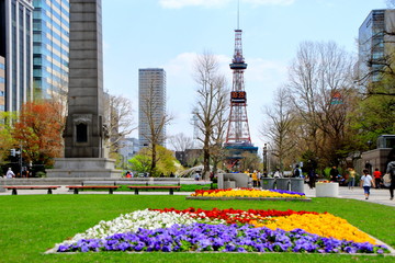 札幌テレビ塔と大通公園の春の風景