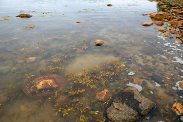 the Big Solovetsky island. The White Sea coast from large boulders