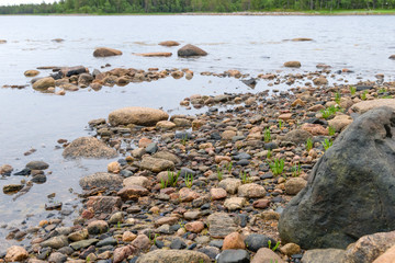the Big Solovetsky island. The White Sea coast from large boulders