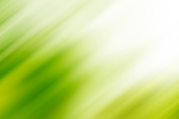 Abstract green motion blur background with bright light. Nature fresh background.