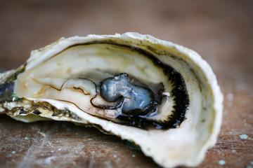 Raw oyster on wooden table with a close view