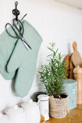 Kitchen accessories, kitchen details, plants on wooden table, white ceramic brick wall background