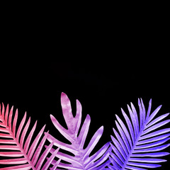 Collection of tropical leaves,foliage plant in gradient color on black background