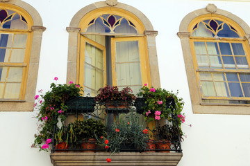 Fototapeta na wymiar Wrought iron balcony with flowers