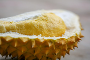 Durian riped and fresh, durian peel with yellow color on southeast Asian yard background