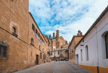 Fototapeta na wymiar Street of old town of Plasencia with the New Cathedral of Plasencia or Catedral de Asuncion de Nuestra Senora on the background. It is a Roman Catholic cathedral located in the town of Plasencia