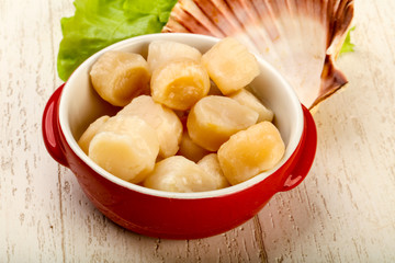 Raw scallops heap