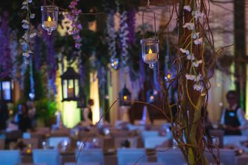 Vines with Hanging Lanterns Floating over an Elegant Dinner event.