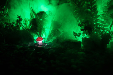 Fantasy glowing mushrooms in mystery dark forest close-up. Beautiful macro shot of magic mushroom or souls lost in avatar forest. Fairy lights on background with fog.